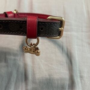 Small coach dog collar
